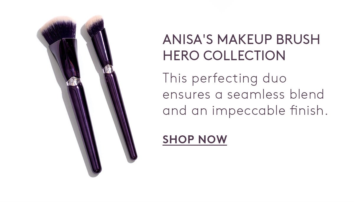 Anisa's Makeup Brush Hero Collection