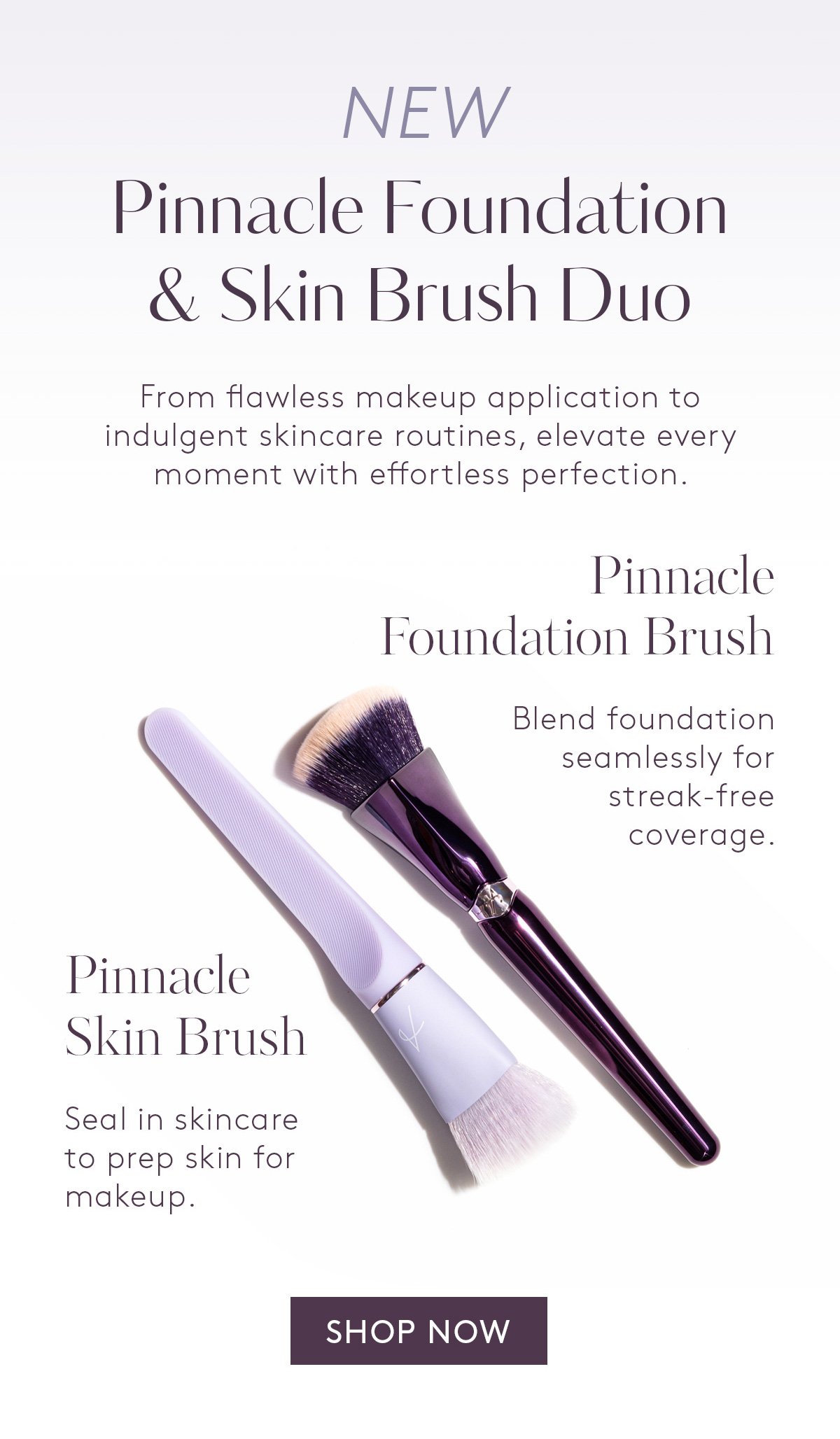 NEW Pinnacle Foundation and Skin Brush Duo