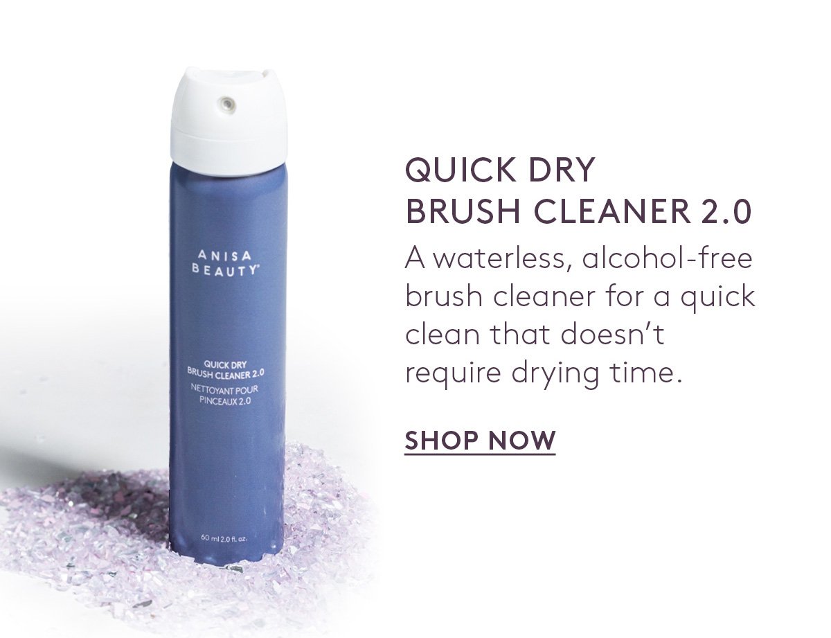 Quick Dry Brush Cleaner 2.0