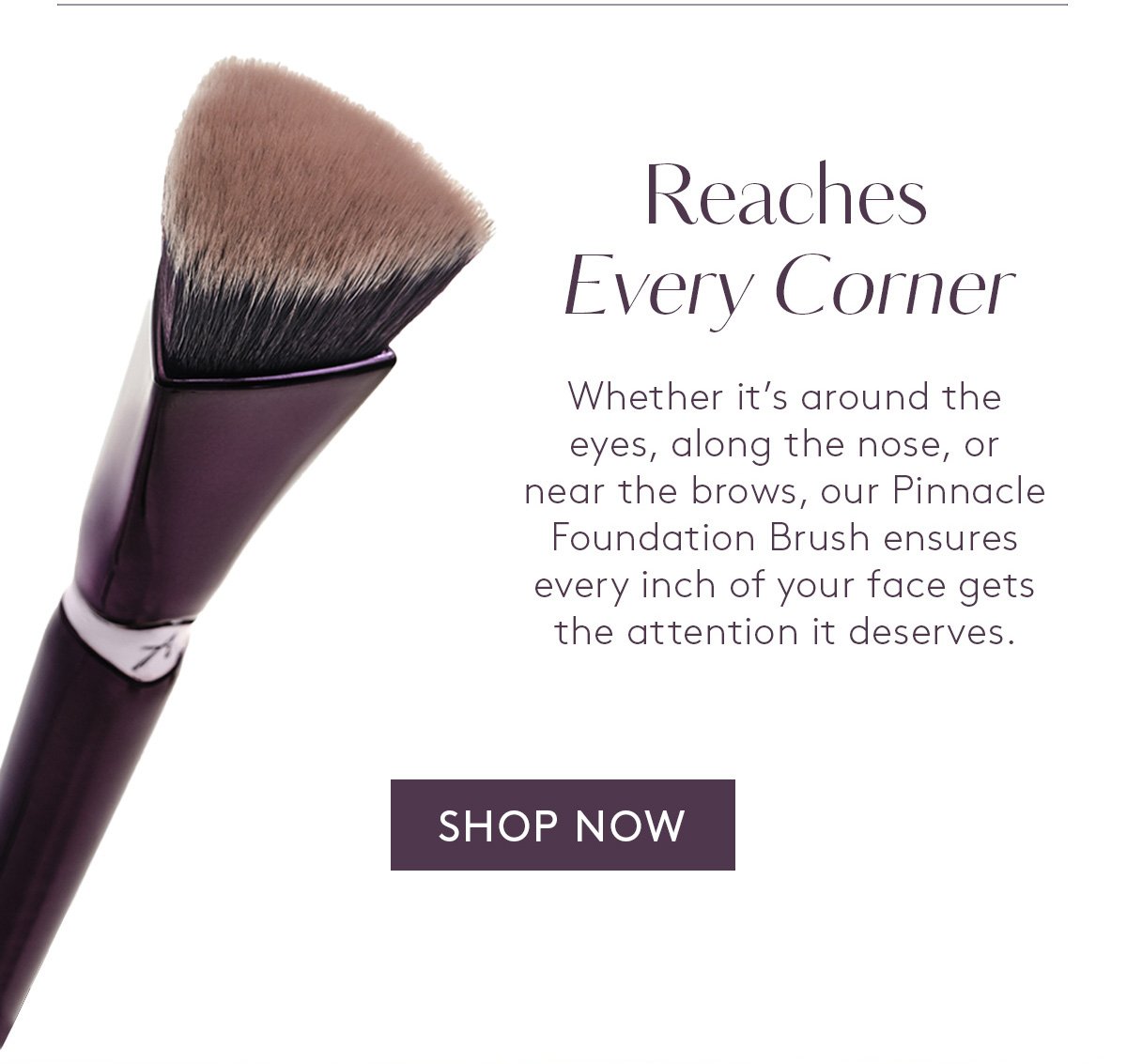 Pinnacle Foundation Brush. Reaches every corner.