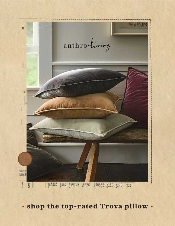 anthroliving. shop the top-rated Trova pillow