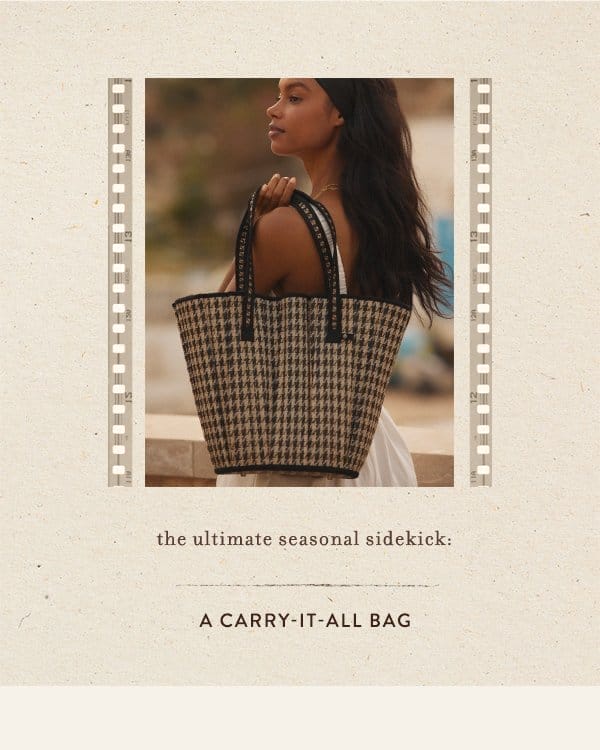 the ultimate seasonal sidekick: a carry-it all bag