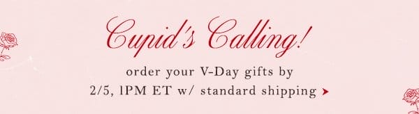 Cupid's Calling! Order your V-day gifts by 2/5 1 PM ET w/ standard shipping.