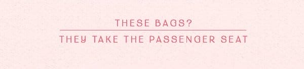 these bags? they take the passenger seat.