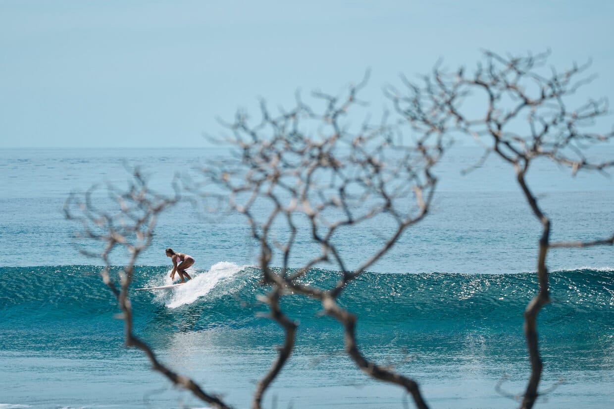 Lola, thru the tree. Kandooma, Maldives