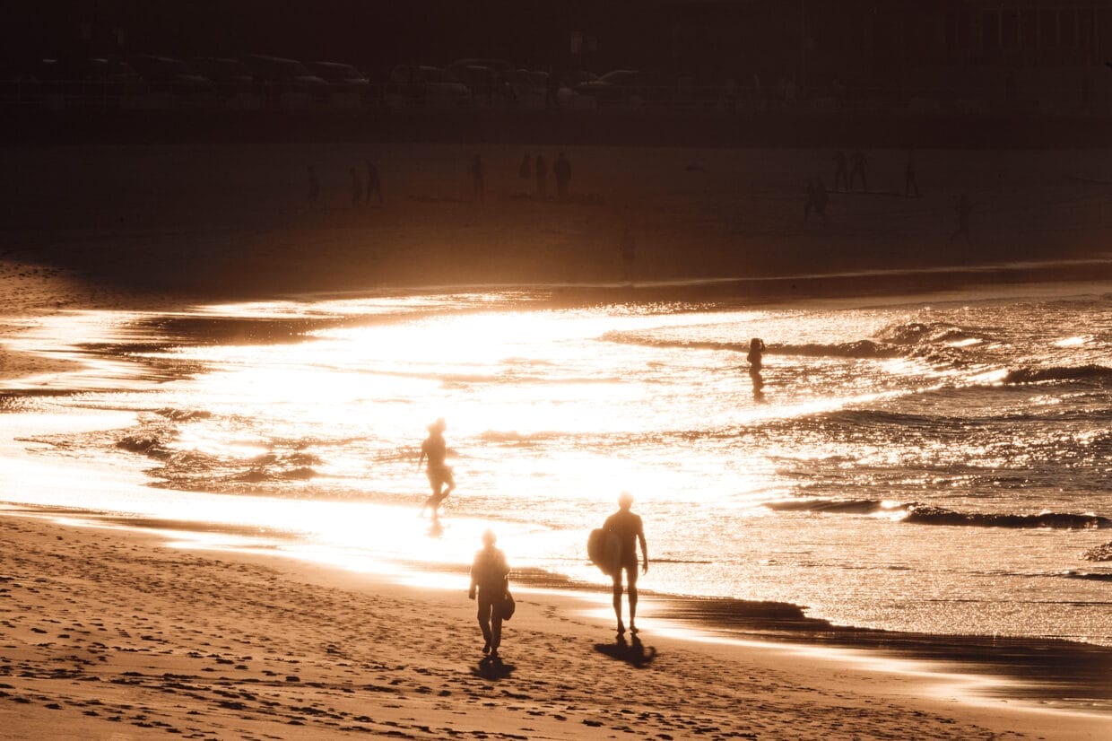 Bondi golden