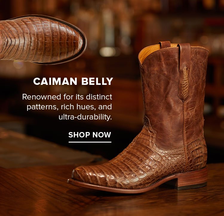 CAIMAN BELLY | SHOP NOW