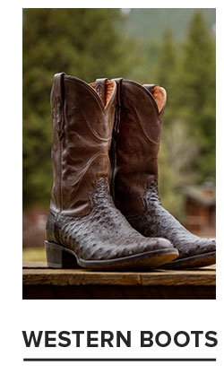 WESTERN BOOTS