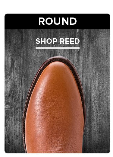 SHOP REED