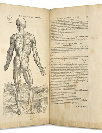 A \\$14,000 Renaissance Anatomy Book Fetches \\$2.2 Million at Auction