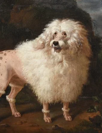 Work of the Week: Jean-Baptiste Oudry’s ‘Portrait of a Poodle’