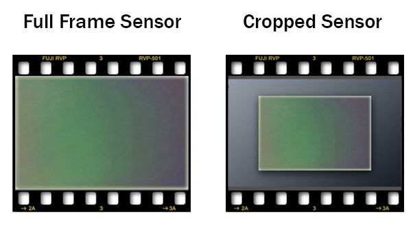 Full-Frame vs. Crop Sensor: The Right Fit for Your Photography —\xa0from SLR Lounge