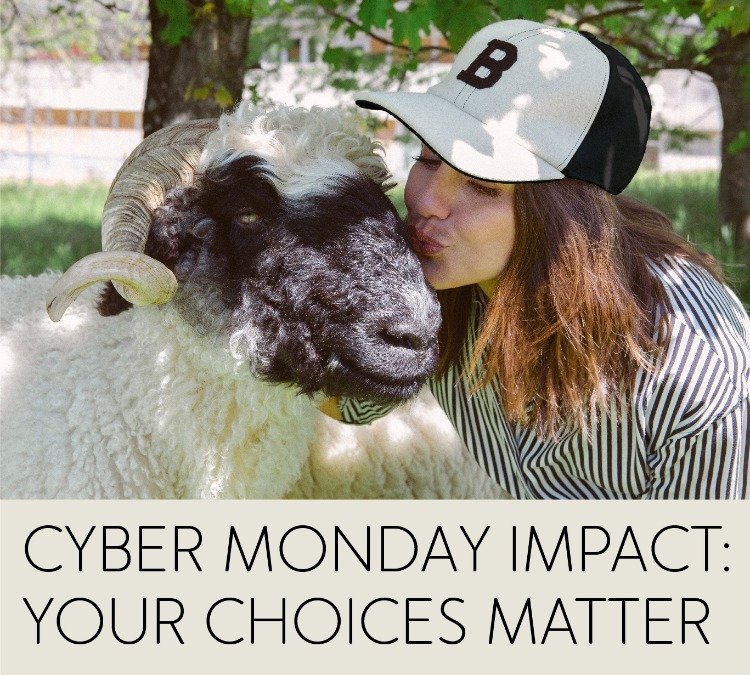 Cyber Monday Impact: Your Choices Matter