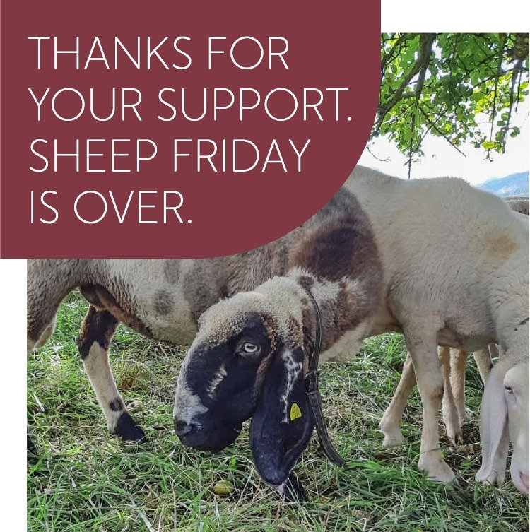 Thanks for your support. Sheep Friday is over.