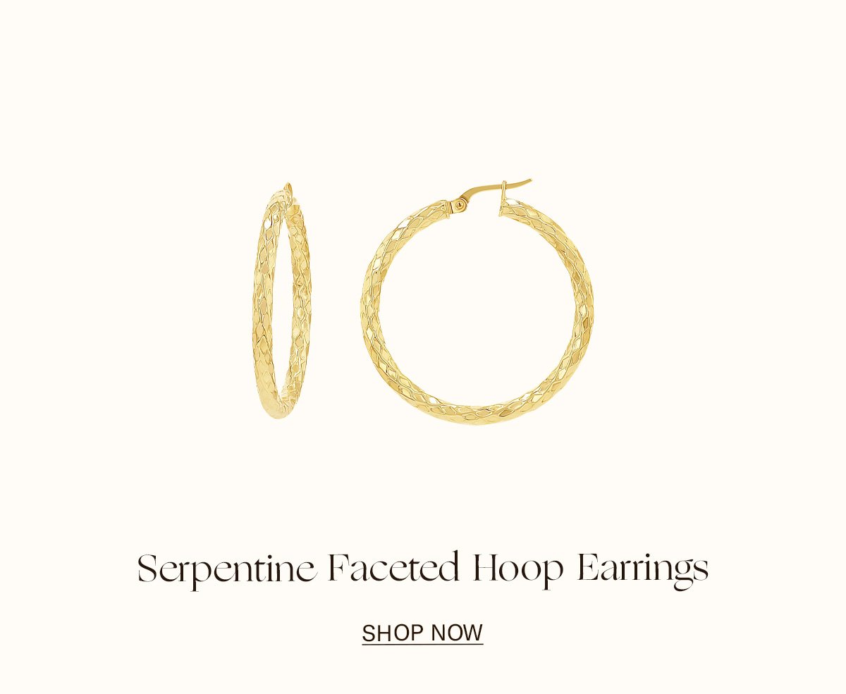 Serpentine Faceted Hoop Earrings