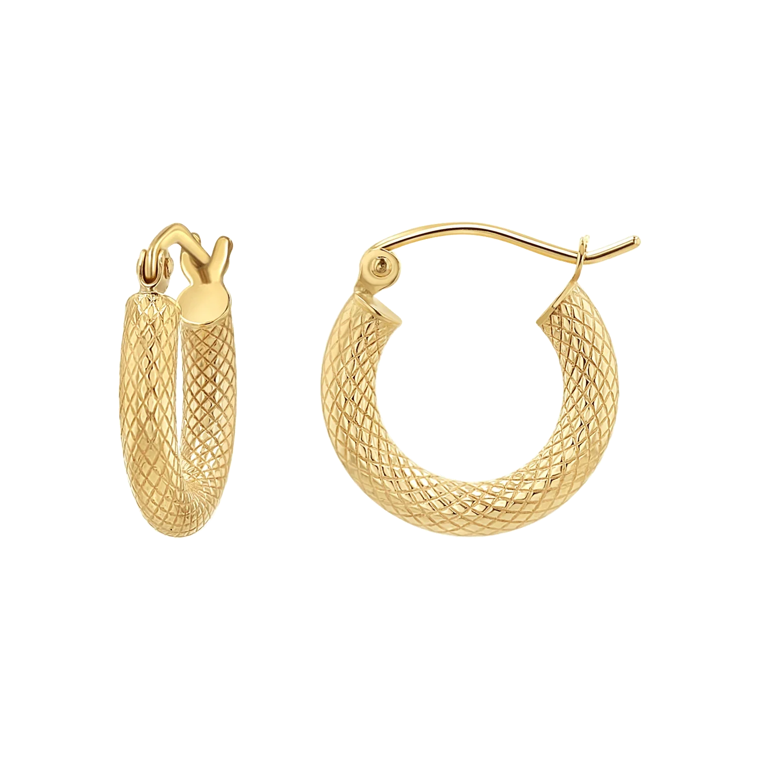 Image of Serpentine Hoop Earrings