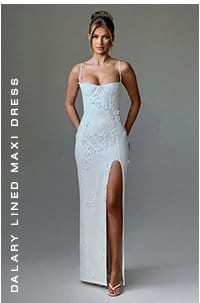 Dalary Lined Maxi Dress