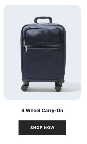 4-Wheel Carry On