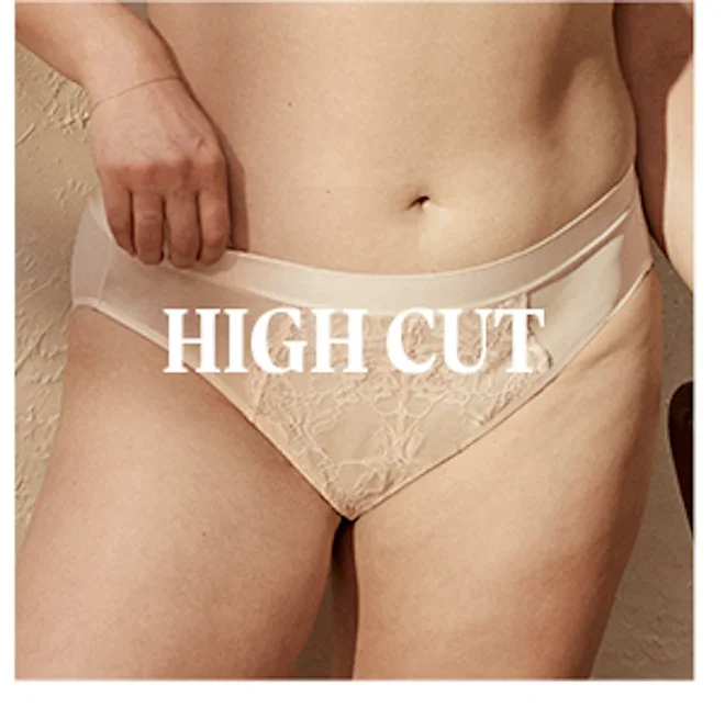 shop high cut undies