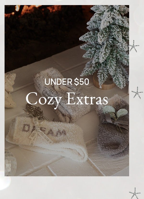 Under \\$50 Cozy Extras