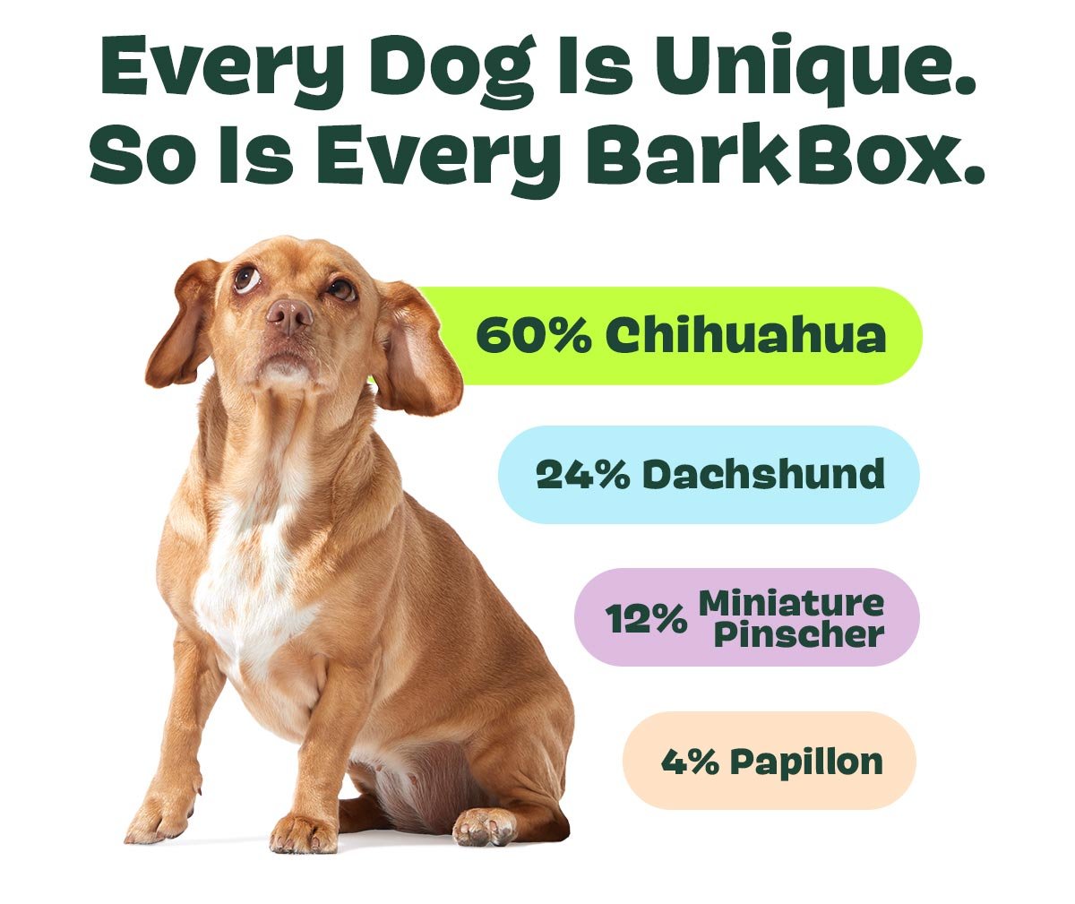 Join BarkBox!