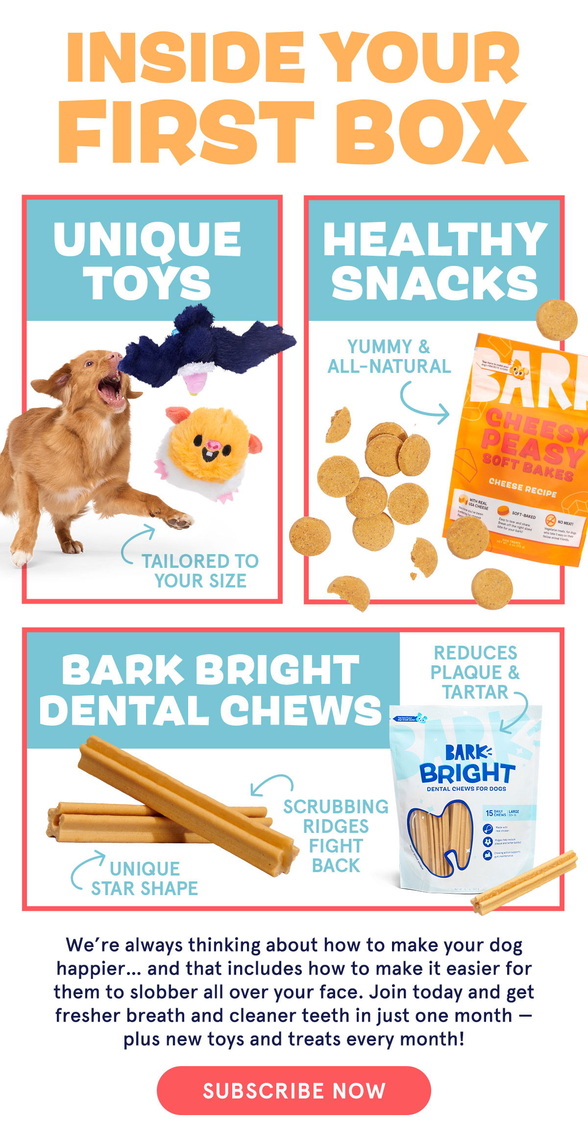 Join BarkBox!