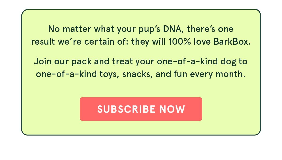 Join BarkBox!