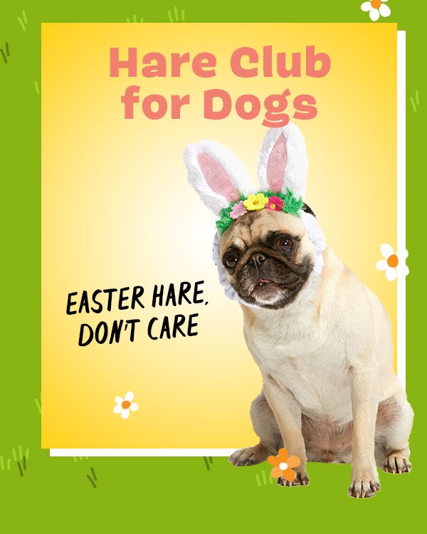 Hare Club for Dogs