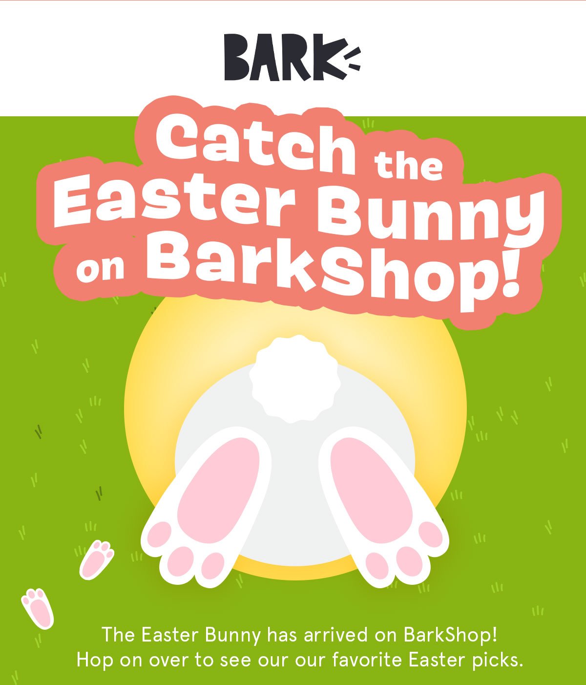 Catch the Easter Bunny on BarkShop!