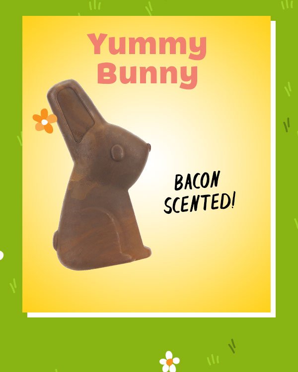 Yummy Bunny