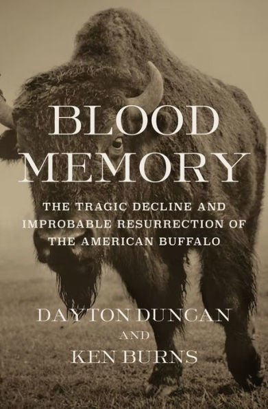 Book | Blood Memory: The Tragic Decline and Improbable Resurrection of the American Buffalo by Dayton Duncan, Ken Burns