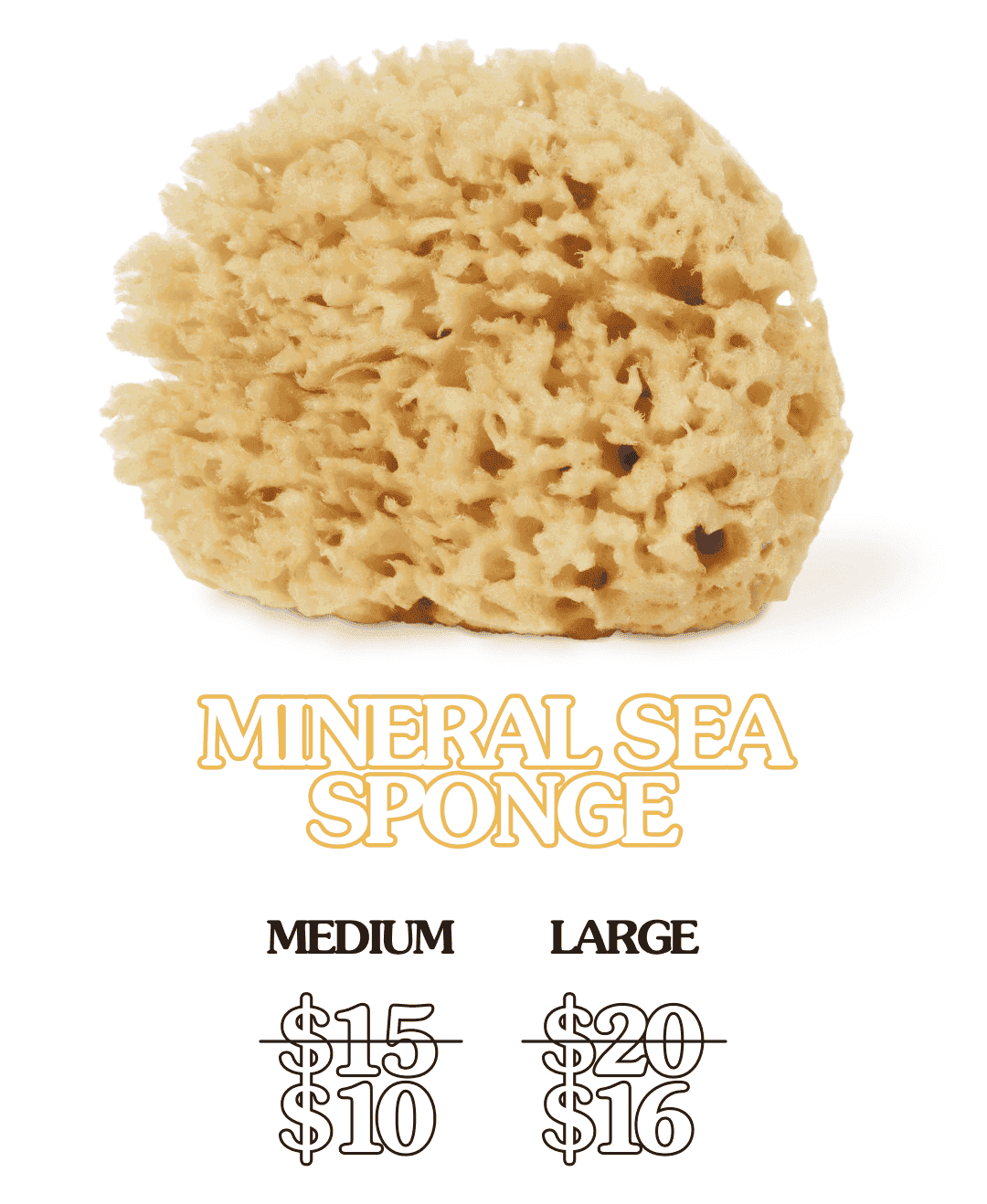 Mineral Sea Sponge Medium \\$10, Large \\$16