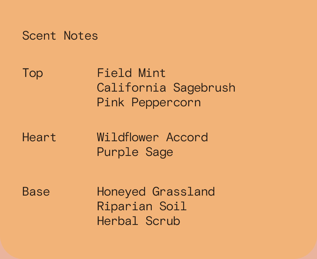 Scent Notes Top Field Mint California Sagebrush Pink Peppercorn Heart Wildflower Accord Purple Sage Based Honeyed Grassland Riparian Soil Herbal Scrub