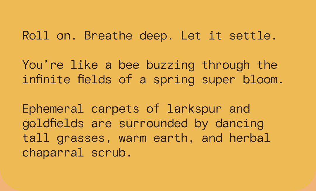 Roll on. Breathe deep. Let it settle. You’re like a bee buzzing through the infinite fields of a spring super bloom. Ephemeral carpets of larkspur and goldfields are surrounded by dancing tall grasses, warm earth, and herbal chaparral scrub.