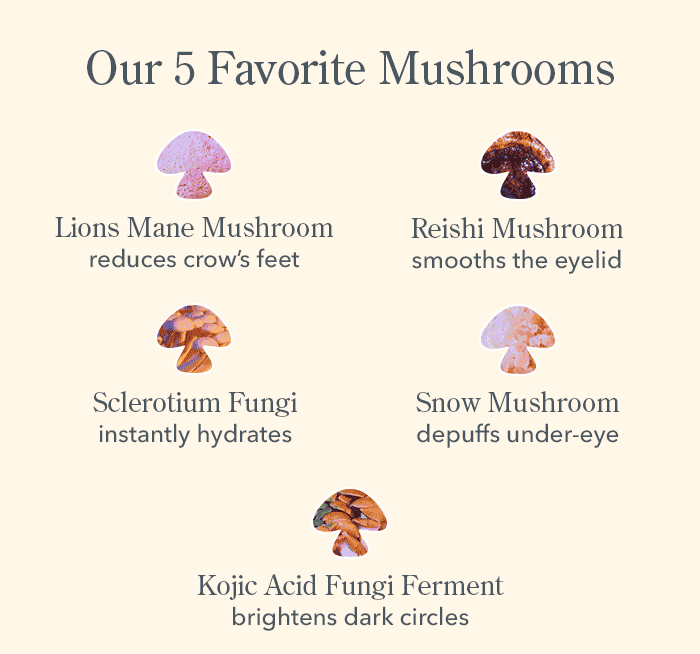 Our 5 Favorite Mushrooms