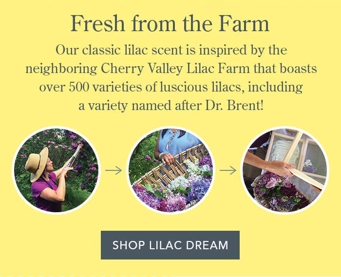 Fresh from the Farm | This scent is inspired by the neighboring Cherry Valley Lilac Farm! Shop Lilac Dream