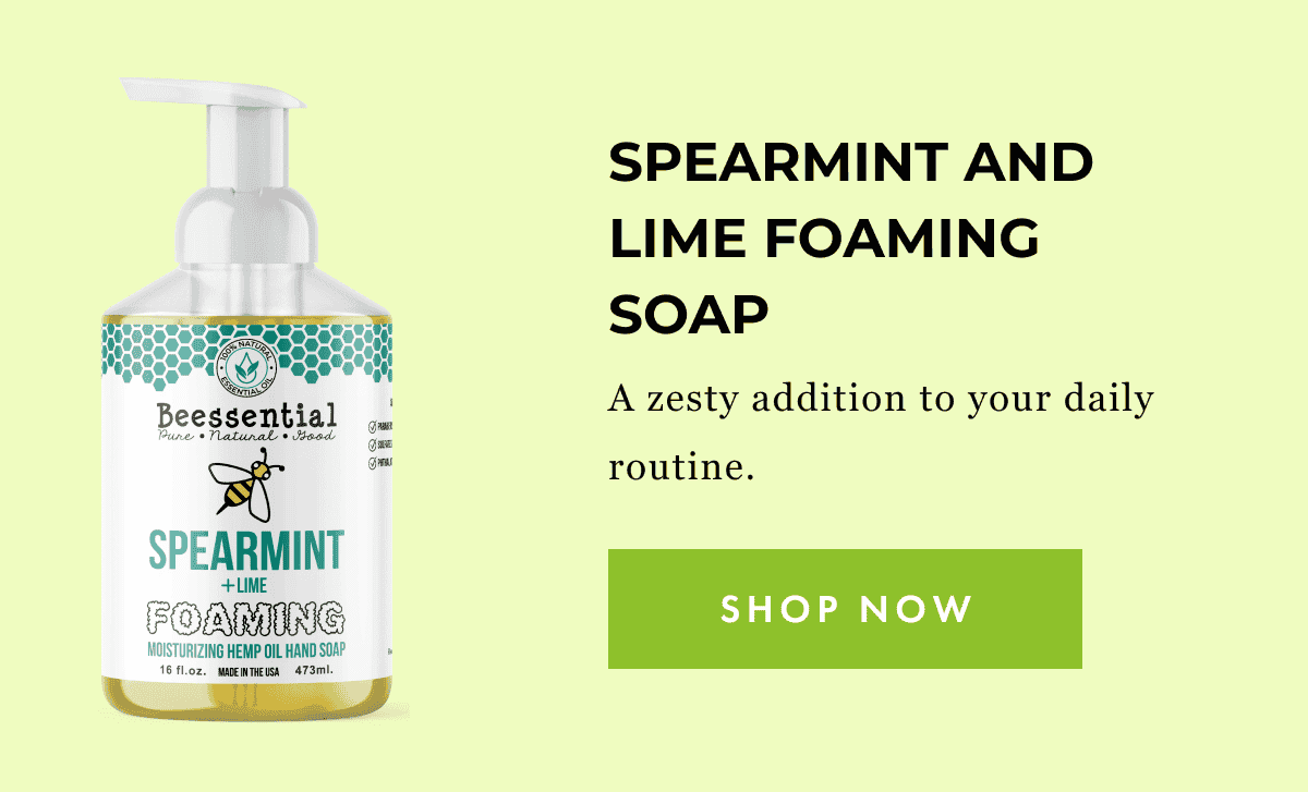 Shop Now - Spearmint and Lime Foaming Soap