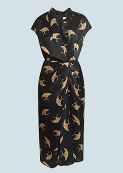 DRIES VAN NOTEN - Dilian Printed Silk Midi Dress