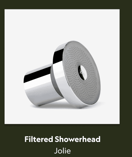 Filtered Showerhead
