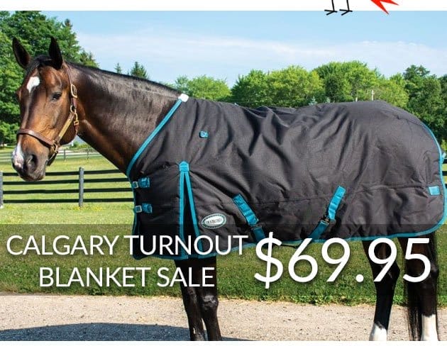 Calgary blanket sale