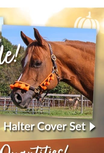 Halloween halter cover set - sale