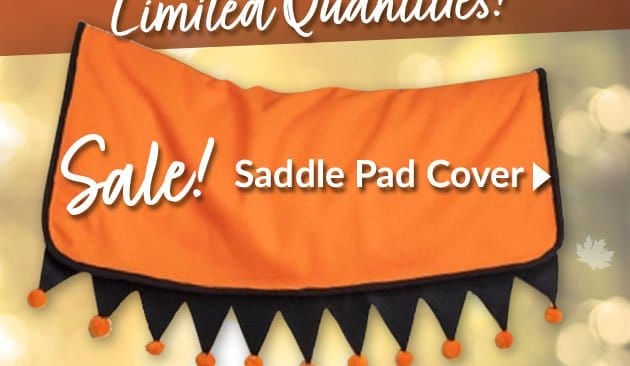 Halloween saddle pad cover - sale