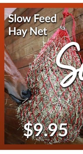 Slow feed hay net sale