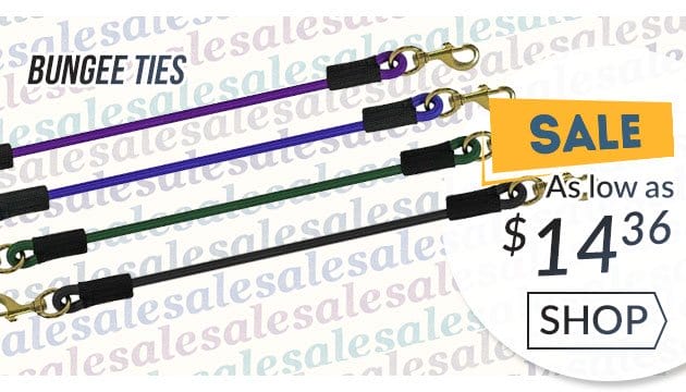 Bungee tie sale