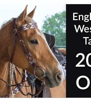 Cyber monday western tack sale