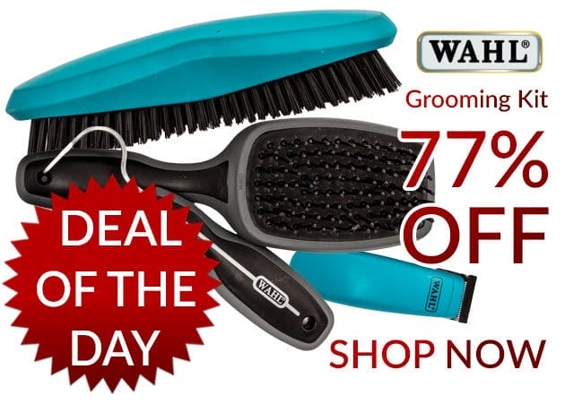 Wahl grooming kit sale