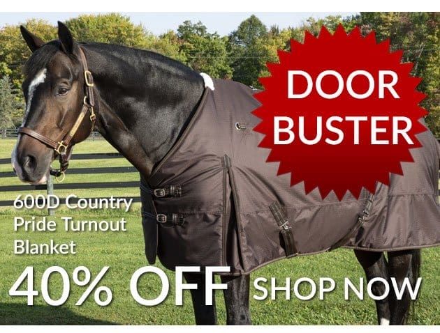 Coutnry pride heavyweight blanket - doorbuster sale