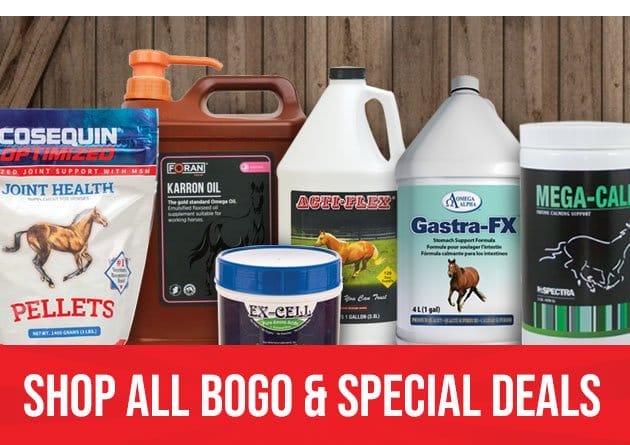 Shop all bogo and special deals
