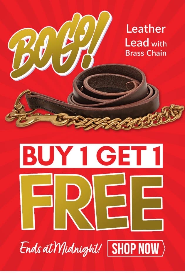 Bogo leather leads - buy 1 get 1 free today only