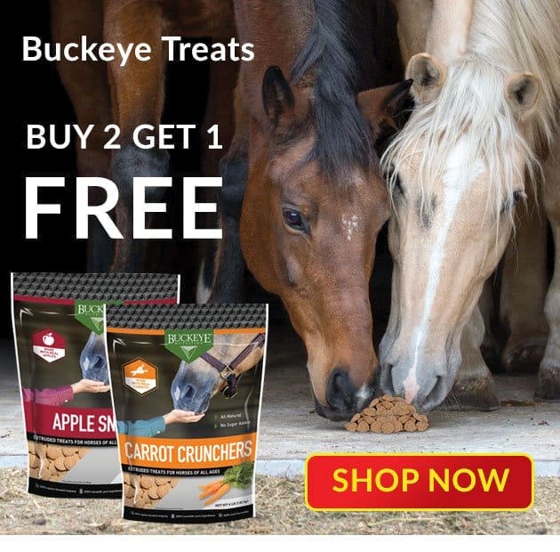 Buckeye treats - buy 2 get 1 free